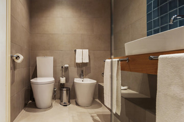 luxury bathroom interior with toilet and  bidet - obrazy, fototapety, plakaty