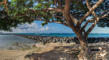 Obraz premium Breakwater from the beach