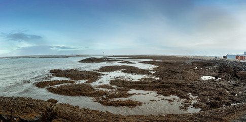 miles of seaweed dumped on the shore by high tide