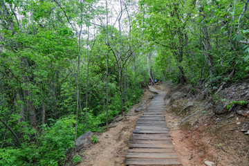 Obraz premium Ścieżka z rustykalnego drewna