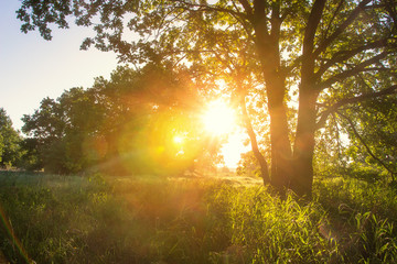 Spring morning sunrise. Scenic nature landscape
