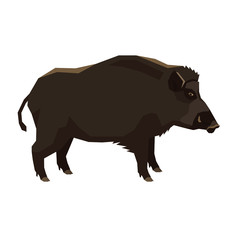 8746638 Wild animals collection Wild boar Geometric style Isolated object