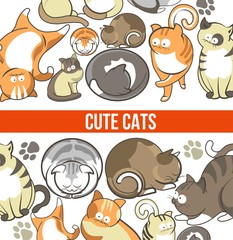 Cute cats with big eyes in sleepy or playful poses