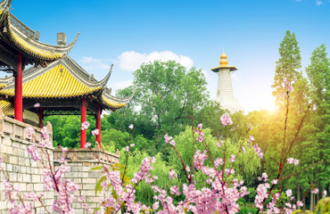 Yangzhou Slender West Lake Wuting Bridge