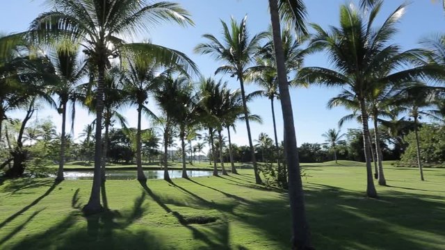 Golf Course on Puerto Vallarta Tepic, Puerto Vallarta, Mexico, North America 