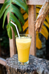 Healthy Fresh Exotic Smoothie Cocktail Beverage