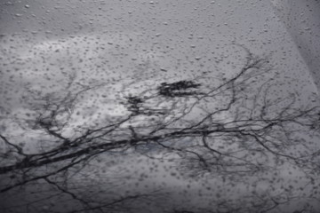 Water Drop on the Hood of the Car