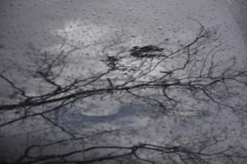 Water Drop on the Hood of the Car