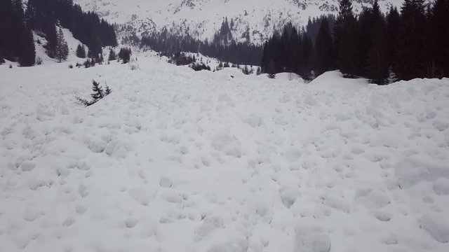 Avalanche runout zone in the alps, Austria, Kleinwalsertal, bad weather
