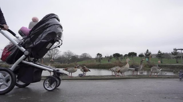 Family walking in Burgess Park with bird around.