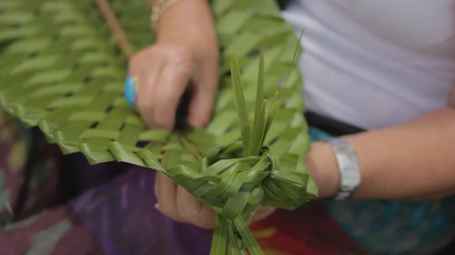 Closeup of a woman weaving a plant in a traditional maori way in new zealand.