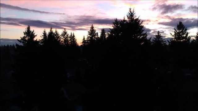 Slow decent into the evergreen trees in the pacific northwest with a beautiful sunset in the background.