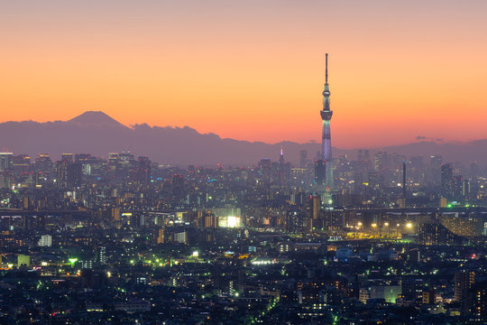 Aerial view of Tokyo city and Skytree tower at twilight in Japan © structuresxx