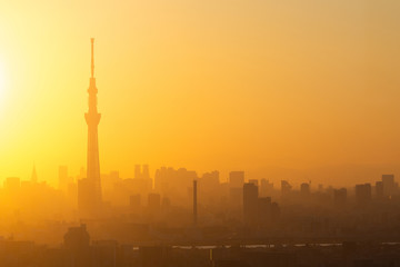 Naklejka premium Aerial view of Tokyo city and Skytree tower at dusk in Japan
