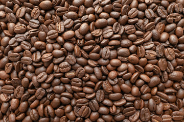 Roasted of coffee beans for background. Close-up.