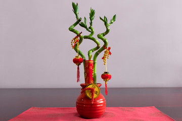 Decorative water bamboo plants for feng shui ornamental decoration