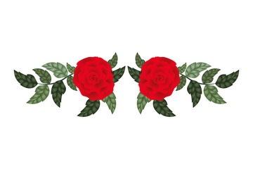 beautiful rose with leafs isolated icon