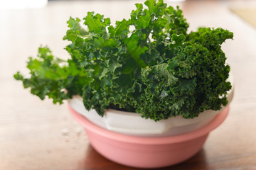 Bunch organic fresh of kale in plastic bowl on table