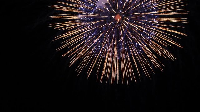 the fireworks in the night sky