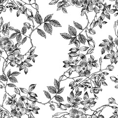 Wild roses blossom branch seamless pattern. Vintage botanical hand drawn illustration. Spring flowers of garden rose, dog rose. Vector design. Can use for greeting cards, wedding invitations, patterns