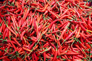 Pile of red Fresh Chili