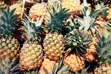 pile of pineapple close up