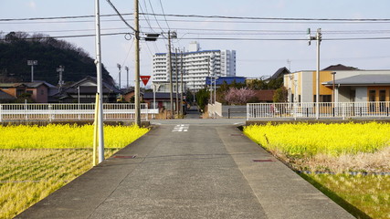 A rural side traffic landscape, Japan
