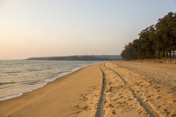 tire tracks of a car in the sand of a sea beach against the background of the sea and green trees