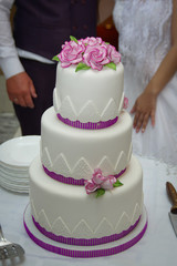 Big wedding cake. Cake with a beautiful decor.