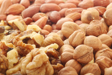 Different nuts forming background	