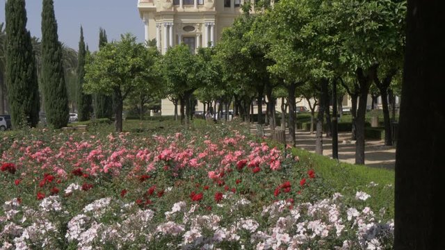 View of City Hall Palace from Jardines de Pedro Luis Alonso, Malaga, Andalucia, Spain, Europe