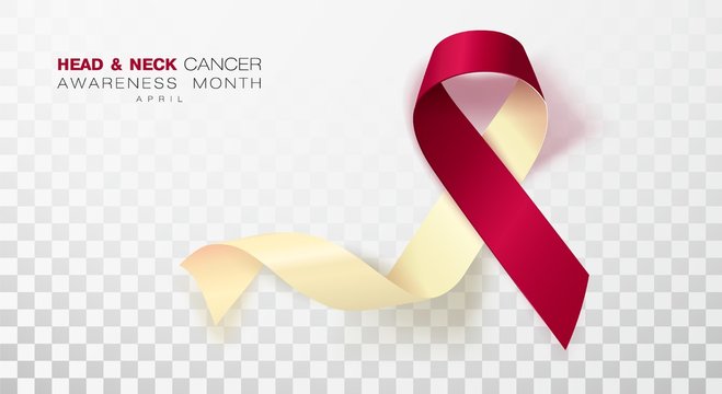 Head and Neck Cancer Awareness Month. Burgundy and Ivory Color Ribbon Isolated On Transparent Background. Vector Design Template For Poster.