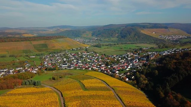 Aerial view of vineyards near Ayl in autumn, Saar River, Saar Valley, Rhineland-Palatinate, Germany