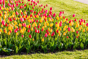 garden of Lednice Palace, Czech Republic
