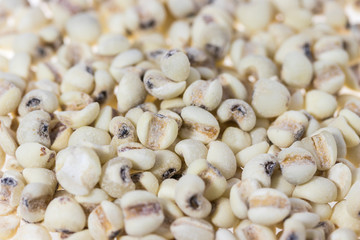 Job's tears or Coix lacryma-jobi background, raw grain for vegetarian diet