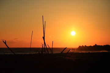 流木と夕日