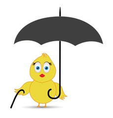 chick under the umbrella protection