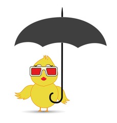 chick under the umbrella protection