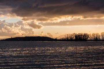 Birds flying over Trasimeno lake with warm sunset colors