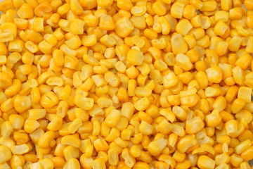 Fresh corn closeup for background. corn texture