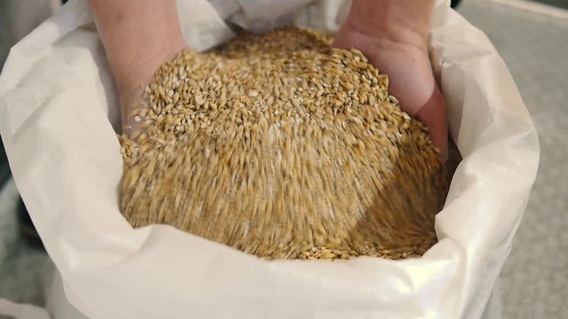 Beer malt in bag, brewer malt.