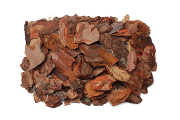 Tree bark pieces isolated on white background. top view