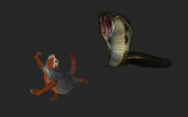 3d Illustration King Cobra Snake hunting and Squirrel Escape with Clipping Path.