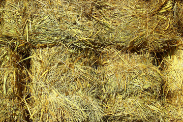 Straw briquette texture on a sunny day close up