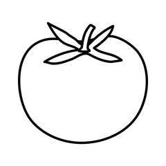 fresh tomato vegetable icon