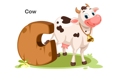 C for Cow