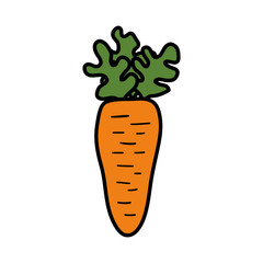 carrot fresh isolated icon