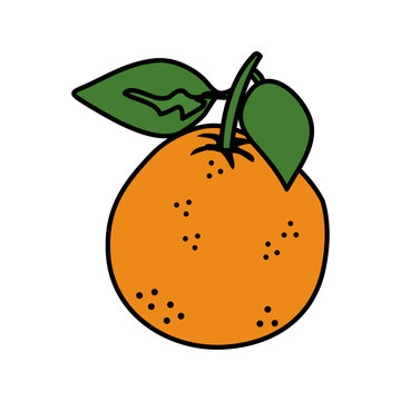 orange fresh fruit icon