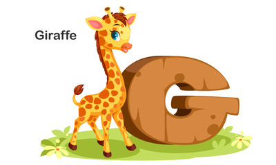 G for Giraffe