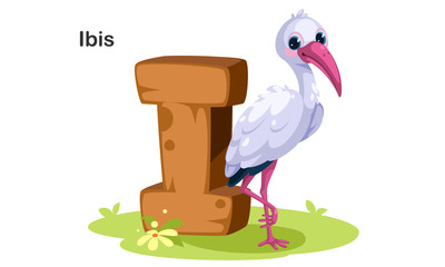 I for Ibis